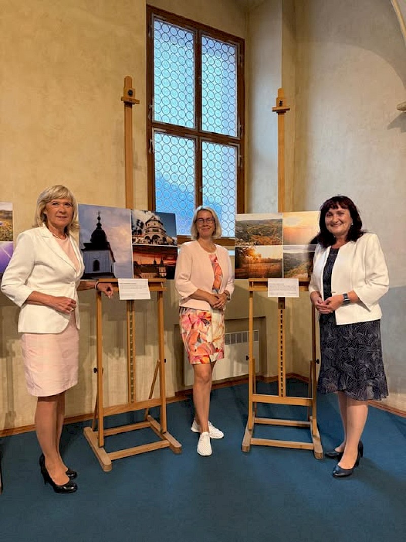 image Pořádání výstav v senátu