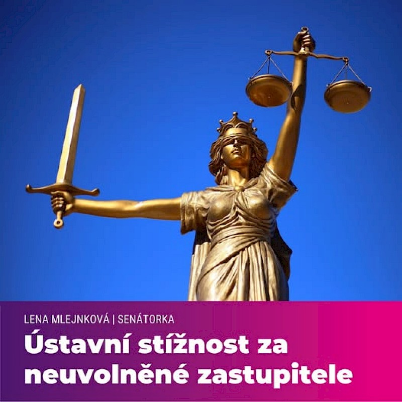 image Ústavní stížnost za neuvolněné zastupitele