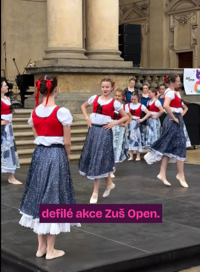 image ZUŠ Open v Senátu